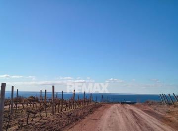 Terreno · 742m² · Terreno en Venta en La Peninsula, Lago Mari Menuco