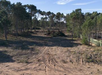 Terreno · 1098m² · Lote en Venta en Barrio Bosques Pinamar Norte