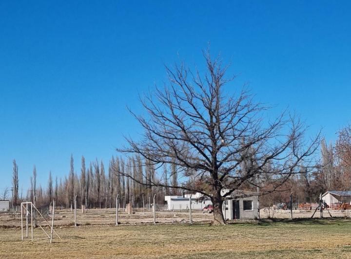 Terreno · 1049m²