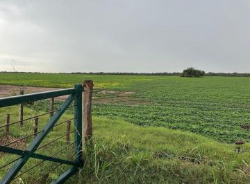 Campo · 126ha · Campo Mixto 385 Ha con Renta Vigente - Rio Primero