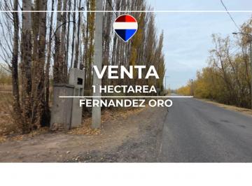 Campo · 1ha · Venta Chacra 1 Hectarea Fernandez Oro