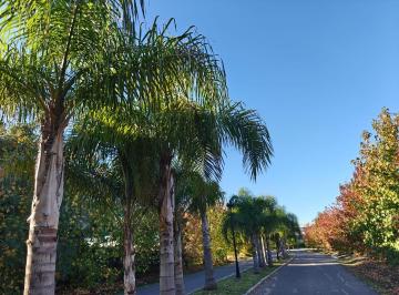 Terreno · 300m² · Lote en Venta en Chateau Pilar