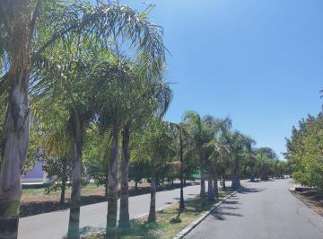 Terreno · 300m² · Lote en Venta en Chateau Pilar