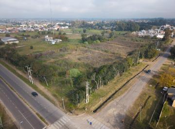 Terreno · 20000m² · Hectáreas Venta Hernández Av 31