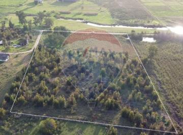 Campo · 3ha · Venta de Campo 3 Ha en Ruta 8 Km.45 Empalme Olmos