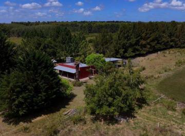 Campo · 29ha · Venta Campo 29ha 2 Casas en Est. Pedrera Ruta 88