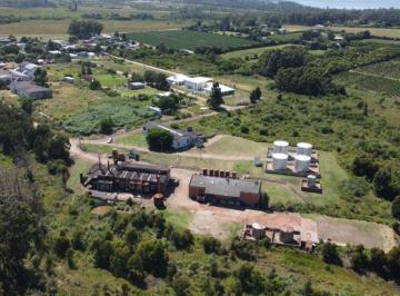 Campo · 33ha · Venta Chacra Punta Yeguas 33 Ha