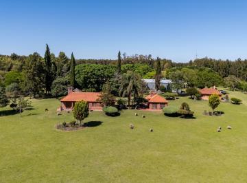 Campo · 900ha · Venta Campo 60h Casco y Galpones en Fray Bentos
