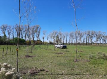 Terreno · 5011m² · Lote 5000 m² en Venta en El Malacate