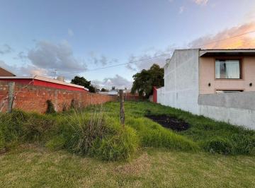 Terreno · 342m² · Venta Lote Punta Mogotes
