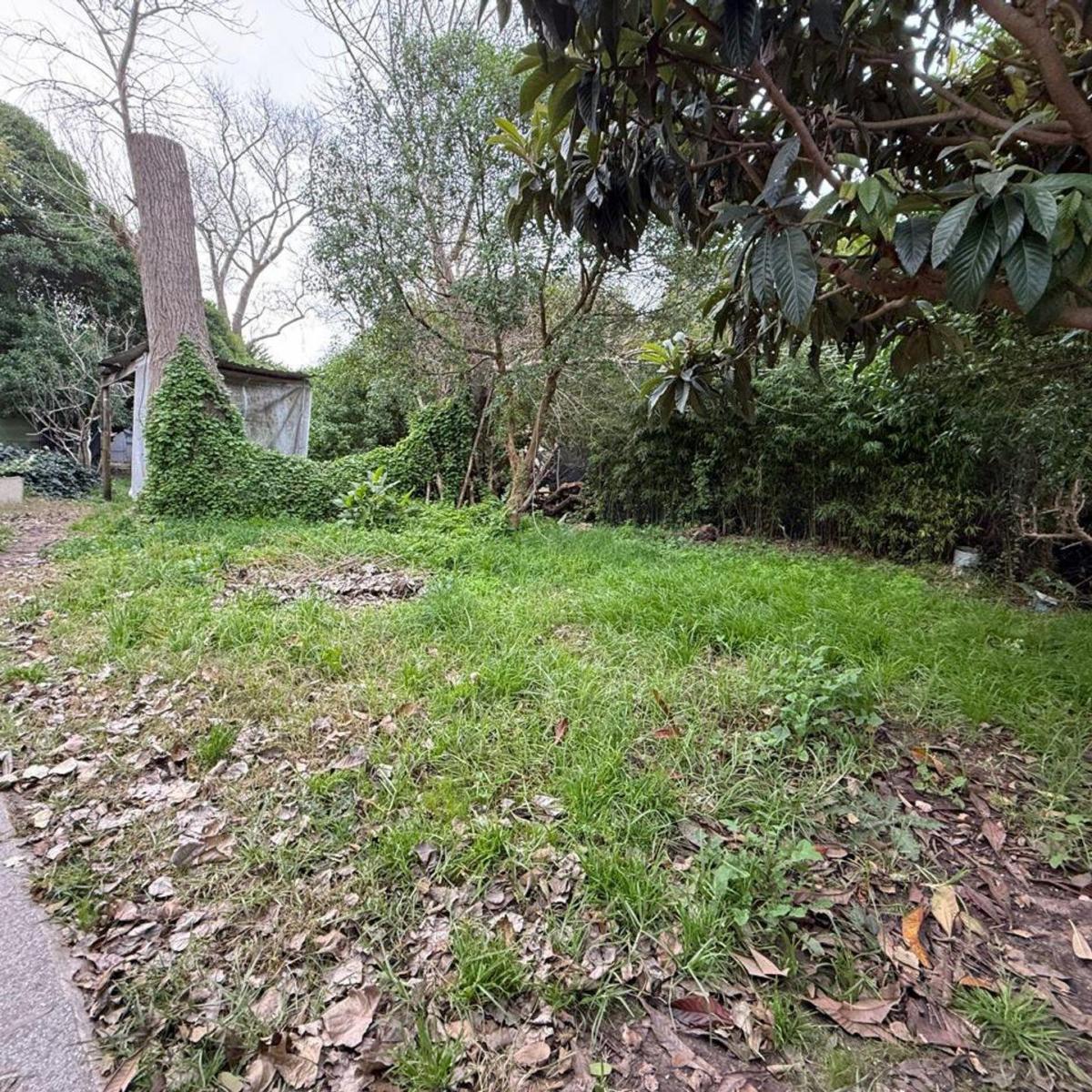 Monoambiente en Planta Baja en Alfar