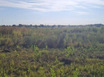 Terreno · 25000m² · Lote en Venta en Tunuyán - Mendoza - 2,5 Ha