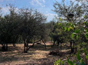 Terreno · 976m² · Venta Lote 1000 m en Villa El Rosal Agua de Oro