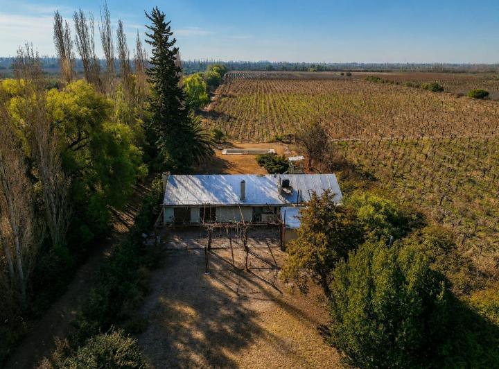 Campo · 511m² · 3 Dormitorios · 2 Cocheras