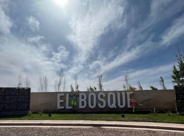 Terreno · 300m² · Venta Lote en El Bosque I