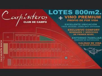 Terreno · 800m² · Importante Lote en Venta en San Rafael