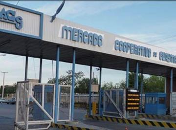 Local comercial · 15m² · Venta Puesto Mercado Cooperativo Guaymallen
