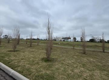 Terreno · 1012m² · Venta Terreno en Olivos de Los Horneros Etapa 3