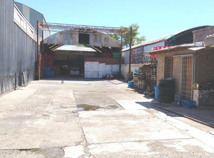 Bodega-Galpón · 240m²