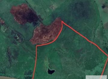 Campo · 1080000m² · Campo en Venta - 108 Hectáreas - Isla de Zárate
