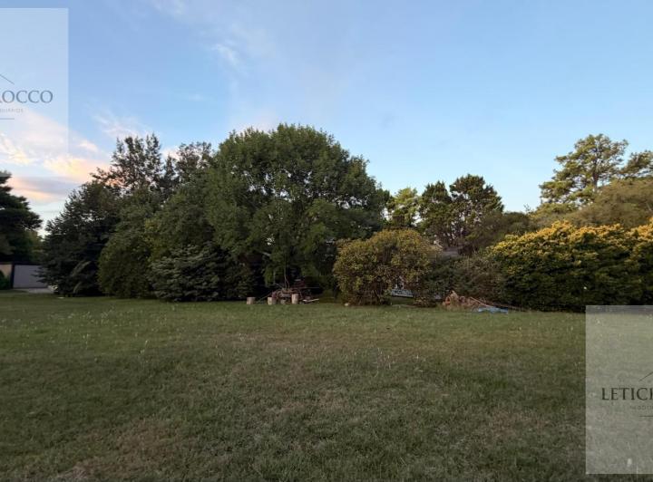 Terreno · 1613m²