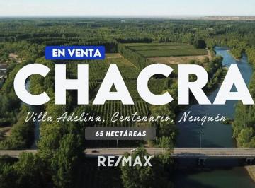 Campo · 65ha · Venta Chacra 65 Hectáreas, Centenario Neuquen
