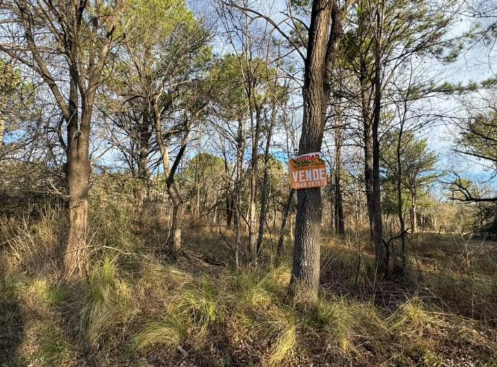 Terreno · 1000m²