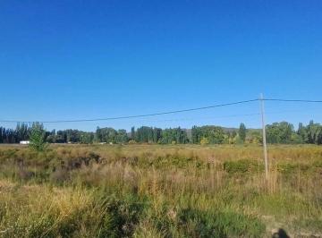 Terreno · 5000m² · Alquiler Terreno 5.000 m². Acceso Sur y Ruta 7