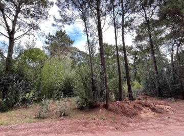 Terreno · 1000m² · Oportunidad en Olmo y Gallareta. Usd 105.000. - Acepta Financiación.