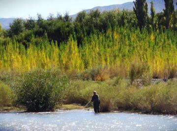 Campo · 100ha · Venta Campo de 7,69 Has en Villa Nueva Calingasta