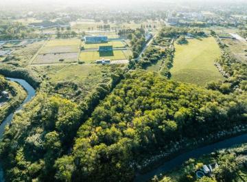 Campo · 29000ha · Venta Chacra, Lote 3 Ha (29.000 M&sup2;)