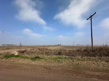 Campo · 51m² · 1 Ambiente · Venta 51 Hectáreas en Roldán