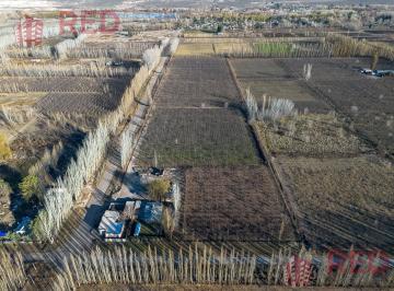 Terreno · 50000m² · Venta de Chacra en Produccion, General Roca