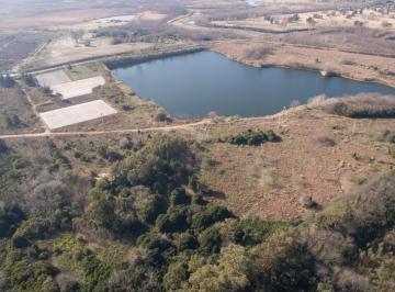 Terreno · 46ha · Terreno en Alquiler (Valor a Consultar) - 52 H. Pilar Km 56, a 2 Km de Panamericana - Laguna Cristalina