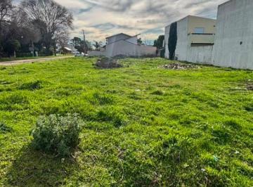 Terreno , Miramar · Terreno de 767 m² con Todos Los Servicios