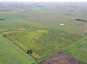 Terreno · 1120000m² · Campo Agrícola en Venta en Magdalena