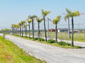 Terreno · 1500m² · Terrenos en Venta en El Barrio El Lazo Capilla del Señor Lote 26