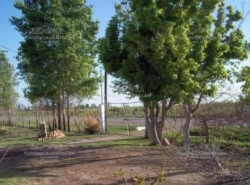 1797679886.jpg · Casa Campo en Venta Ubicado en San Rafael, Mendoza, Argentina