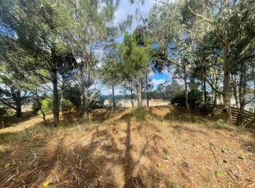 Terreno · 900m² · Lote en Venta Ecuestre 211