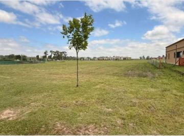 Terreno · 1019m² · Terreno en Venta Fincas de San Vicente Financiado