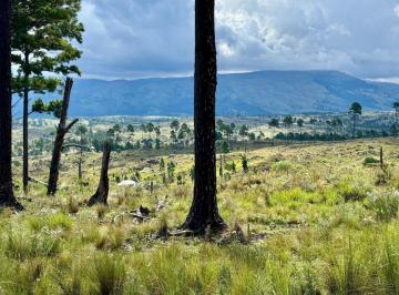 Terreno · 30000m² · Venta Lote 3 Hct. en Atos Pampa Escritura Perfecta