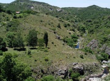Campo · 245ha · Venta Campo 277has Arryo Cno La Cumbre Agua de Oro