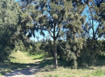 Campo · 5ha · Venta de Campo Sobre Ruta 1 Kilometro 16