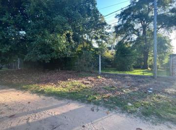 Terreno · 558m² · Venta Terreno Cercado, Forestado Villa California