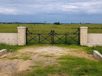 Campo · 2ha · Lote 2 Hectáreas en Venta - Ruta 2 Brandsen