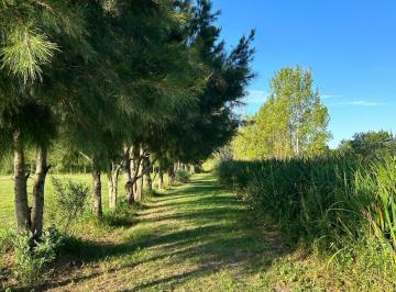Terreno · 40000m² · Terreno en Berisso
