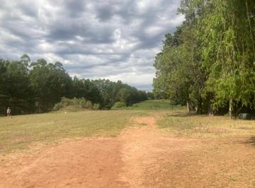 Campo · 750000ha · Hermoso Campo de La Zona de Concordia
