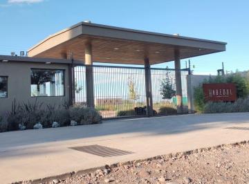 BDA-BDA-72_2 · Lote Barrio Privado 500 m² | Luján de Cuyo | Todos Los Servicios | Seguridad 24h