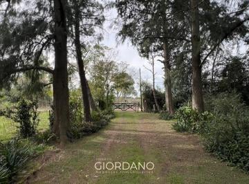 Campo · 18750m² · 3 Ambientes · Campo de 2 Ha en Venta en Abasto