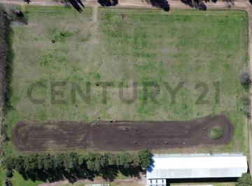 Terreno · 21660m² · 2 Hectáreas Sobre Ruta 33 | Ubicación Estratégica en Venado Tuerto